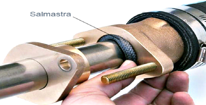 SALMASTRA